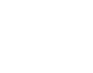Poses de fenêtres de toit Velux